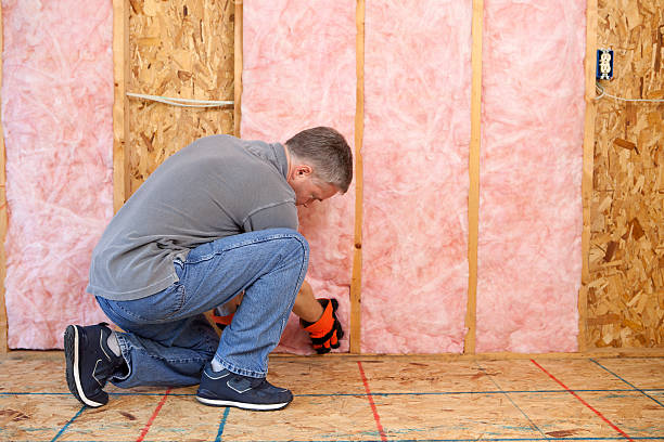 Best Insulation Removal  in Harbor Isle, NY