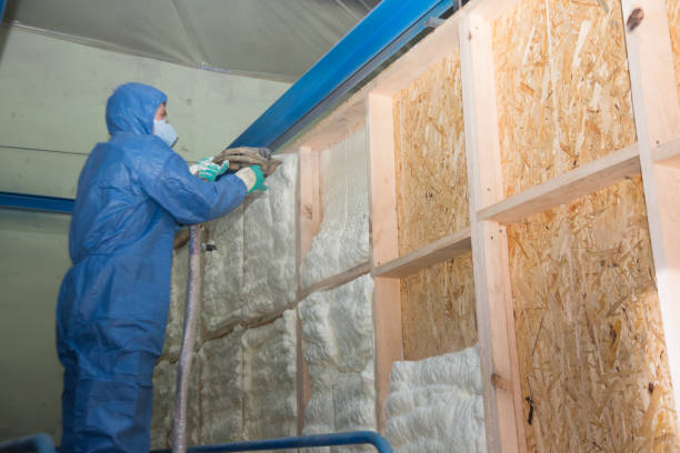 Best Best Insulation Companies  in Harbor Isle, NY